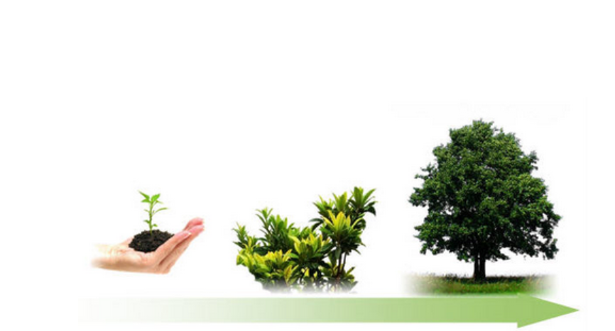 gia tri cot loi aeros